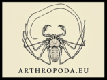 arthropoda.eu